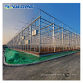 Glass greenhouses for agriculture price